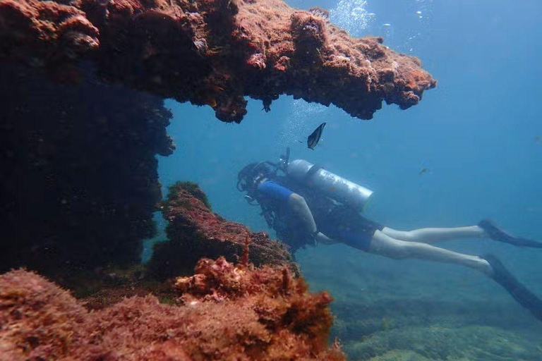 Salvador: Saída Embarcada para Mergulho em Naufrágio
