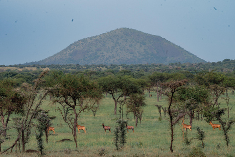 From Kampala: 3-Day Pian Upe Conservation Reserve Safari