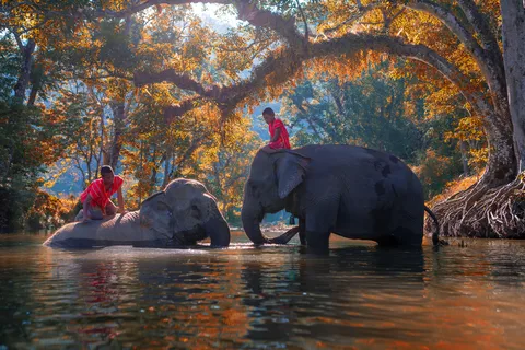 Kanchanaburi Charter Privado desde Bangkok | Tailandia