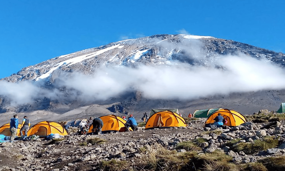 Escalada de 6 días al Kilimanjaro por la ruta Umbwe GetYourGuide