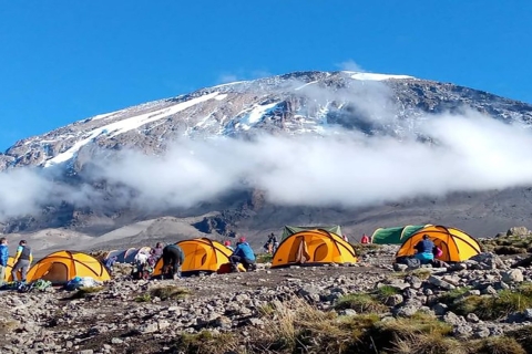 7 jours d'ascension du Kilimandjaro par la route Machame