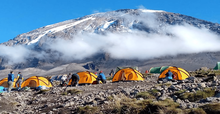 Escalada En D As Al Kilimanjaro Por La Ruta Shira Getyourguide