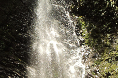 Bosque nublado de Mindo: Aventura y naturalezaMindo - Aventura y naturaleza - transporte privado