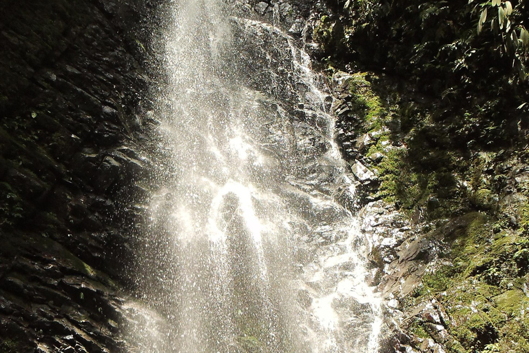 Bosque nublado de Mindo: Aventura y naturalezaMindo full day - Aventura y naturaleza - transporte público