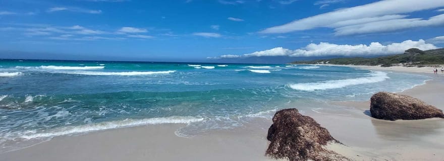 Au départ de Calvi : excursion d'une journée en 4x4 à la montagne et à la plage de Saleccia des Agriates