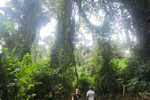 Entebbe: Guided Walking Tour with Markets and History