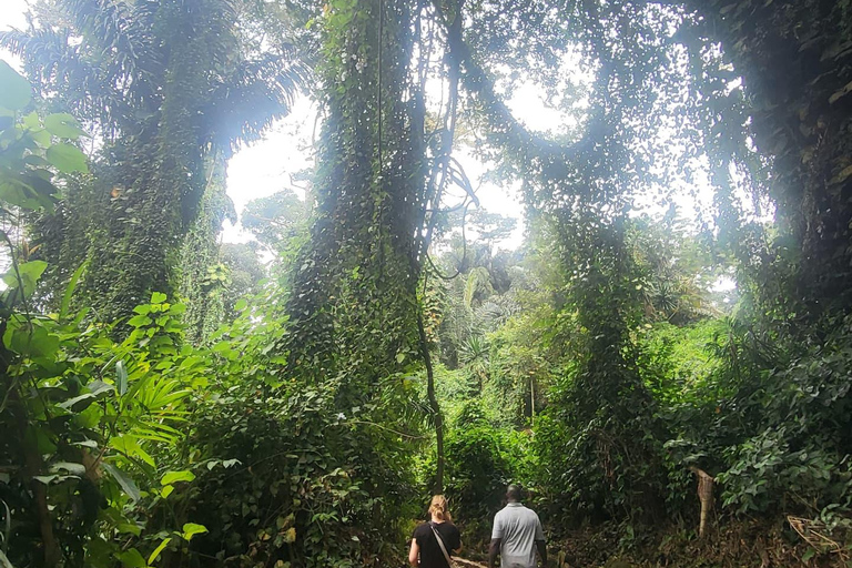 Entebbe: Guided Walking Tour with Markets and History