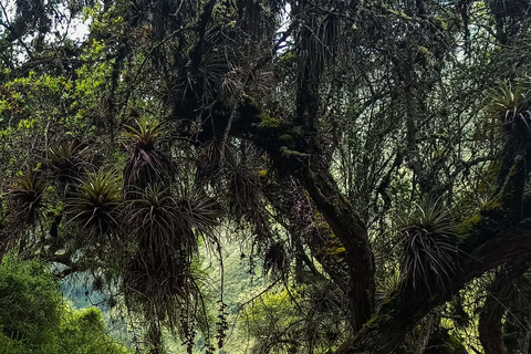 CHEMIN ANCESTRAL DU CONDOR - ÉCOTOURISME ET EXPÉRIENCE VÉCUE