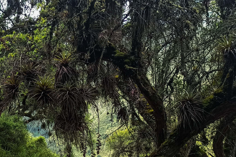 CHEMIN ANCESTRAL DU CONDOR - ÉCOTOURISME ET EXPÉRIENCE VÉCUE