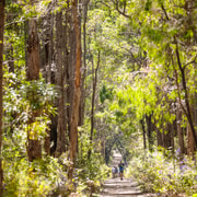 Margaret River: Wadandi Track E-Bike Tour with Lunch