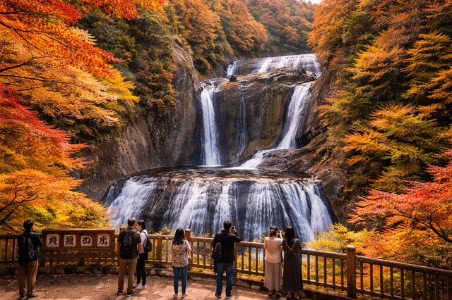 Tokyo: Hitachi Seaside Park & Ibaraki Nature and shrine Tour