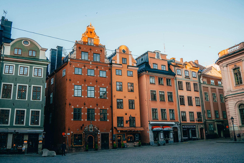 Ícones de Estocolmo: Cidade Velha e Riddarholmen Tour guiado particular