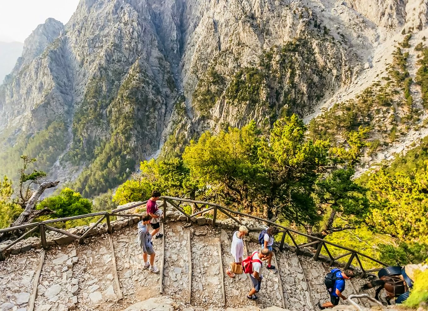 Fra Chania: Heldagsudflugt i Samaria-kløften med guide