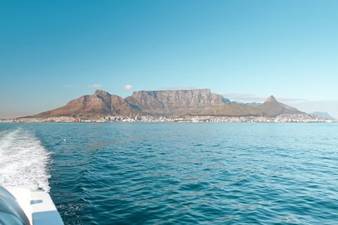Kaapstad: Robbeneiland-veerboottour met 1-weg hotelovername