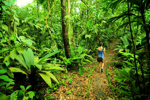 COSTA RICA:UPPTÄCK COSTARICAS VILDA DJUR-STRAND &amp; SKOG 2VECKOR