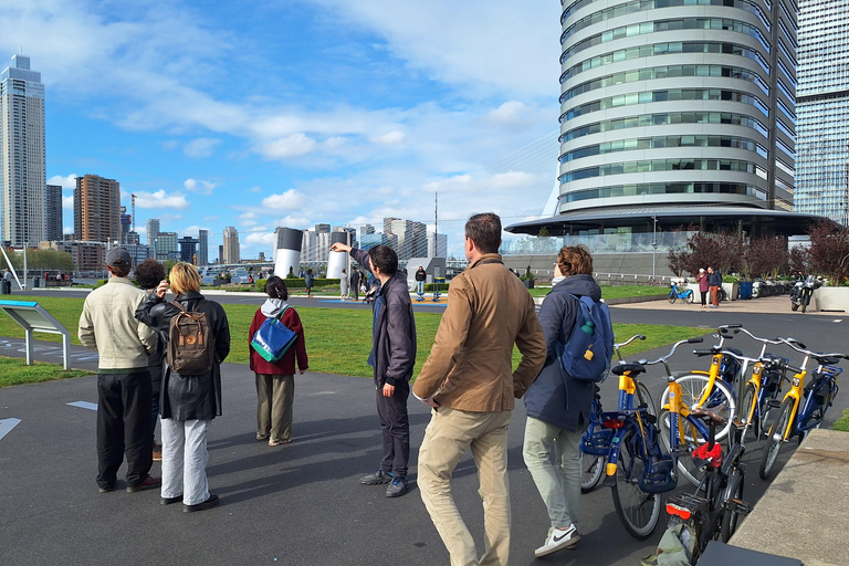 The Hague, Delft and Rotterdam: Private Day Tour with Lunch Spanish. Start in The Hague.