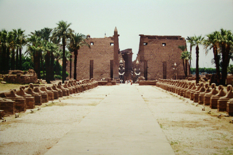 Tour privado de un día por la Avenida de las Esfinges desde Luxor