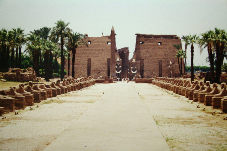 Avenue van Sfinxen privé dagtour vanuit Luxor