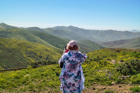 Middle of the Island: Off the beaten track Private Tour Fuerteventura: Betancuria & Puertito Los Molinos PrivateTour
