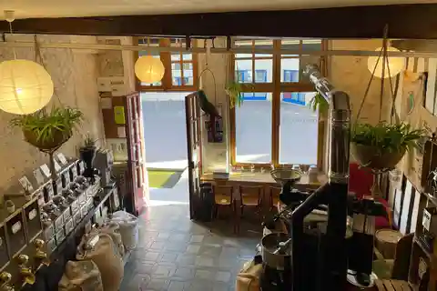 Rouen: Tea tasting workshop with a Sommelier: tea infusion