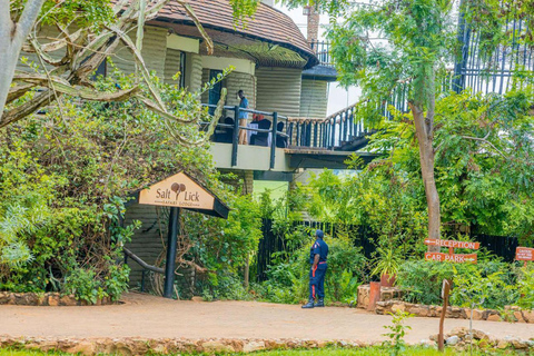 4 days Tsavo East, Amboseli and saltlick lodge safari