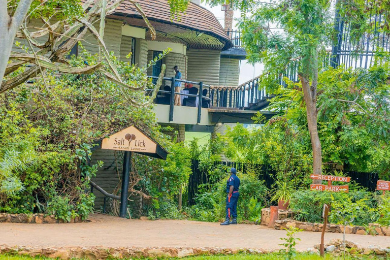 4 days Tsavo East, Amboseli and saltlick lodge safari