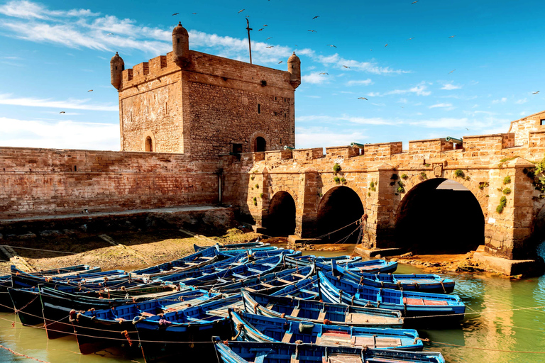 Wybrzeże Atlantyku Essaouira Day Trip Z MarrakeszuWspólna wycieczka jednodniowa