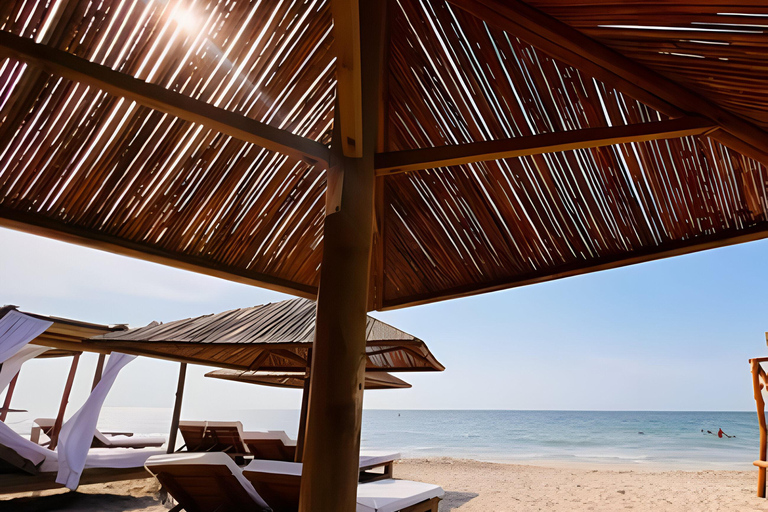 Cartagena: Ancestral Beachclub daytour in Tierra Bomba