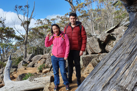 From Hobart: Mt Wellington Morning Walking Tour 4 Hour Mt Wellington Arrival Tour with Organ Pipes Walk