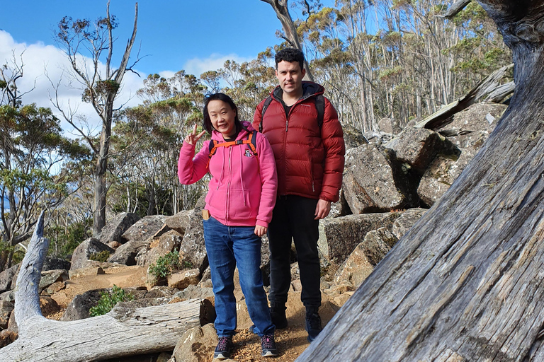 From Hobart: Mt Wellington Morning Walking Tour 4 Hour Mt Wellington Arrival Tour with Organ Pipes Walk