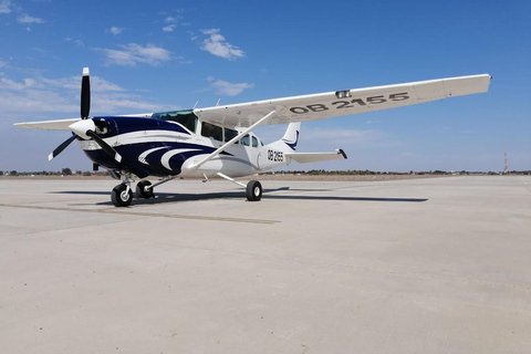 De Nazca: 35 minutos de voo sobre as linhas de NazcaDe Nazca: Voo de 35 minutos Sobre as Linhas de Nazca