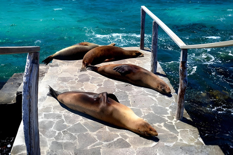 Bartolome Island Top Experience: Hike and Snorkel full day tour
