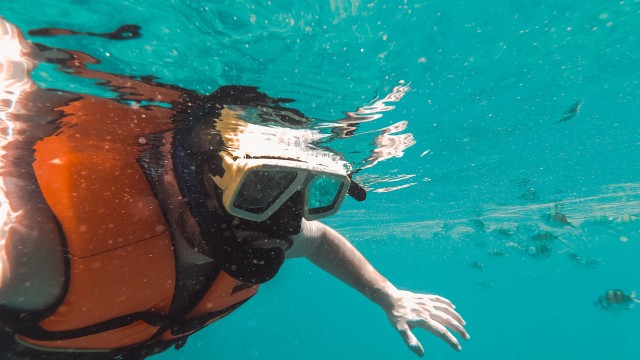 Mirissa: Snorkelen met schildpadden
