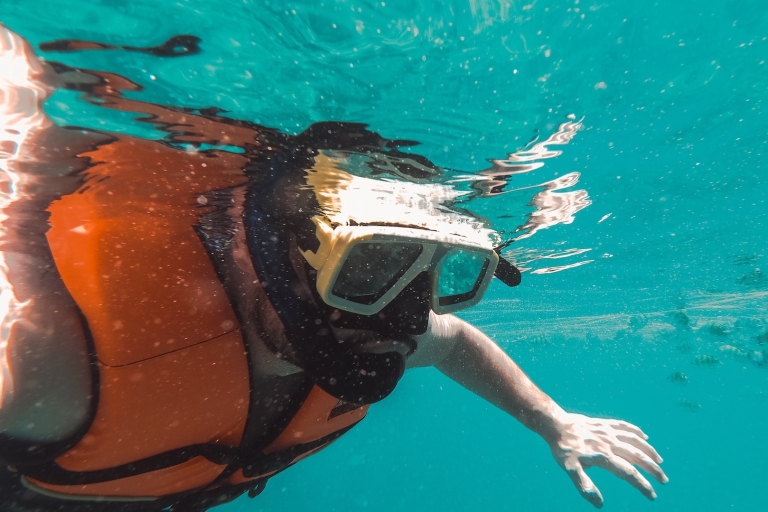 Snorkeling z żółwiami w Mirissie