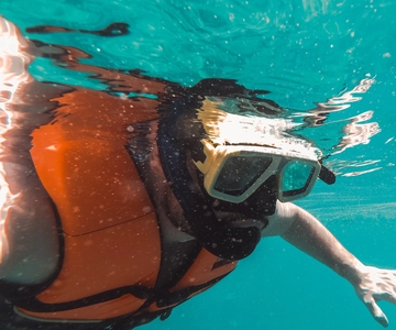 Mirissa: Snorkelen met schildpadden