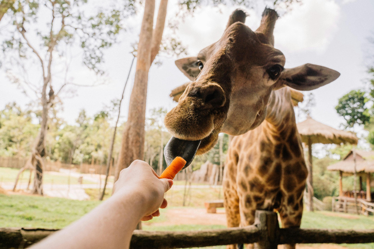 Cape Town: Private Tour with Customizable Itinerary