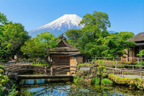 Tokyo: Mt Fuji & Oishi Park, Oshino Hakkai, Chureito Pagoda Free Karaage Chicken Set | Tokyo Station 8:00AM