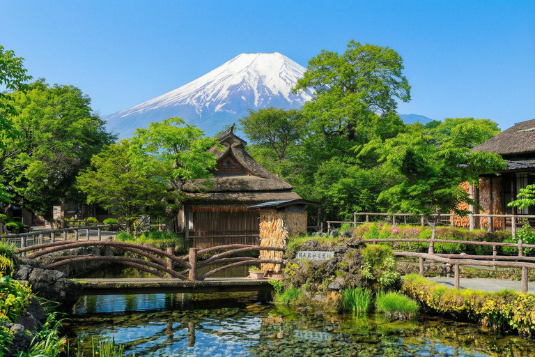 Tokyo: Mt Fuji & Oishi Park, Oshino Hakkai, Chureito Pagoda Free Karaage Chicken Set | Tokyo Station 8:00AM