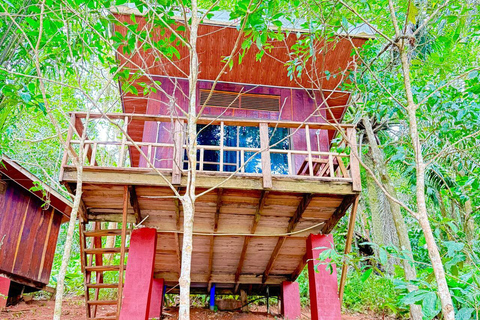 3 Tage und 2 Nächte Magoroto-Wald-Tagestour von Sansibar aus mit dem Flugzeug