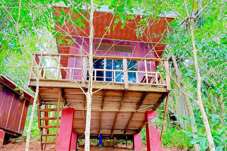 3 Tage und 2 Nächte Magoroto-Wald-Tagestour von Sansibar aus mit dem Flugzeug