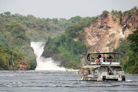 UGANDA - WAGYTAILS - HÄSTMYS - DJURPARKSBERÄTTELSER - MINISAFARI