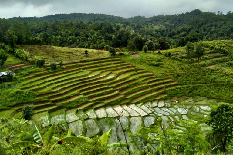 Chiang Mai: Jungle Trek, Elephants care & Bamboo Rafting