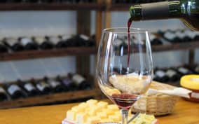 Express tasting of uruguayan wines and cheese