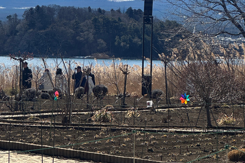 Mt Fuji Sightseeing Private tour with English Speaking Guide