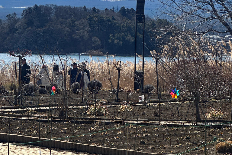 Mt Fuji Sightseeing Private tour with English Speaking Guide