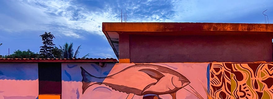 Lomé : visite guidée de la côte togolaise et sortie en bateau sur le lac Togo