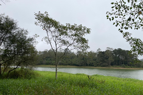 San Paolo: Escursione nella foresta atlantica con un biologoSan Paolo: Escursione di un giorno nella foresta atlantica con un biologo