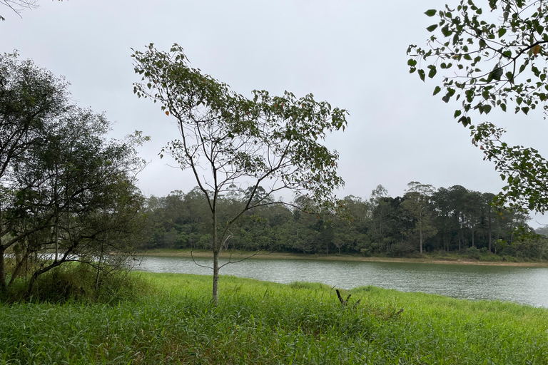 San Paolo: Escursione nella foresta atlantica con un biologoSan Paolo: Escursione di un giorno nella foresta atlantica con un biologo