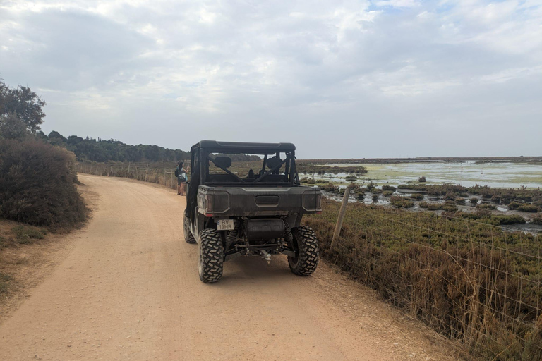 Guided buggy Passenger tour Alvor Ria wetlands