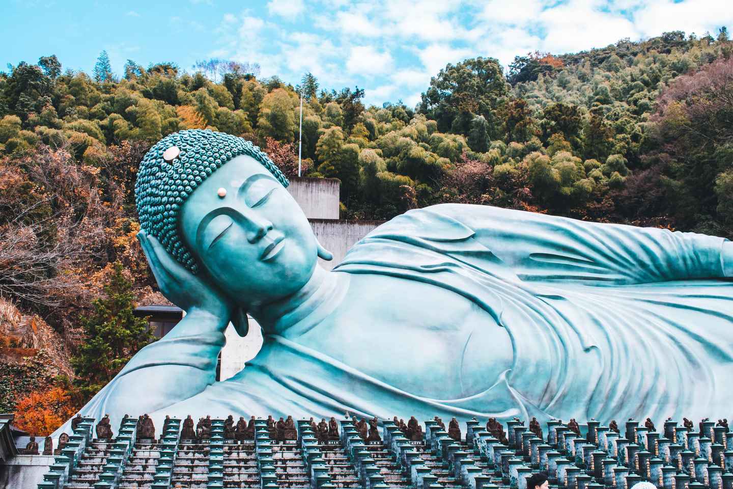 Fukuoka: Customized Tour with Local Guide - 2 Hours - Customized Tour with Local Guide